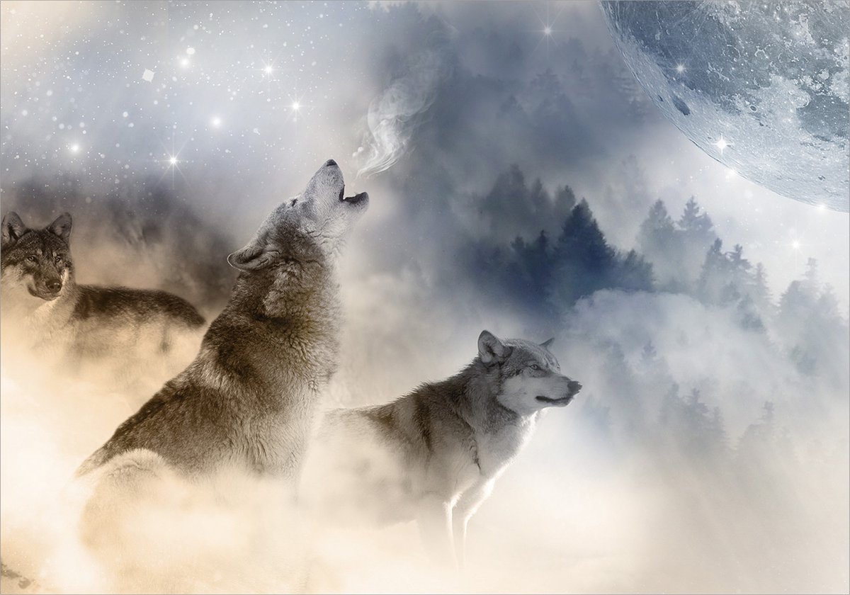 Fotobehangkoning - Behang - Vliesbehang - Fotobehang Wolven - Pack - 400 x 280 cm
