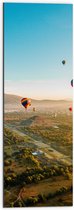 WallClassics - Dibond - Luchtballonnen zwevend door de lucht - 30x90 cm Foto op Aluminium (Wanddecoratie van metaal)