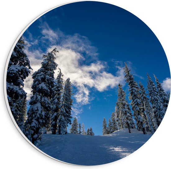 WallClassics - PVC Schuimplaat Muurcirkel - Hoge Smalle Bomen in de Sneeuw met Zon - 20x20 cm Foto op Muurcirkel (met ophangsysteem)