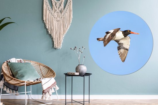 Un huîtrier volant et coloré en vol Cercle mural aluminium ⌀ 140 cm