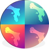 illustrations colorées de Bonaire Wall cercle aluminium ⌀ 30 cm - tirage photo sur cercle mural / cercle vivant / cercle jardin (décoration murale)