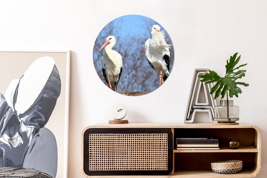 Deux belles cigognes dans leur nid Cercle mural aluminium ⌀ 60 cm - Tirage photo sur cercle mural / cercle vivant / cercle de jardin (décoration murale)