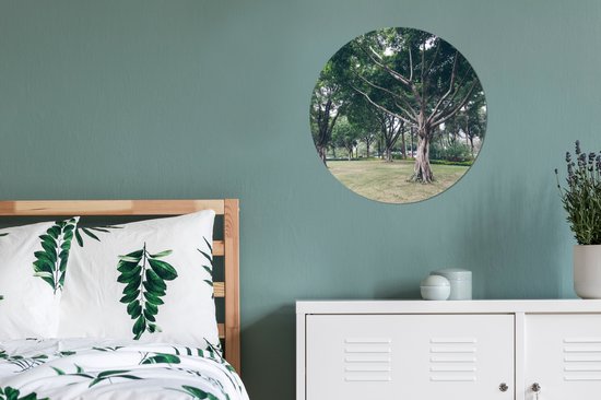 Arbre spécial en Guangzhou Wall cercle aluminium - ⌀ 60 cm - peinture ronde - impression photo sur aluminium / dibond / cercle mural / cercle vivant / cercle de jardin (décoration murale)