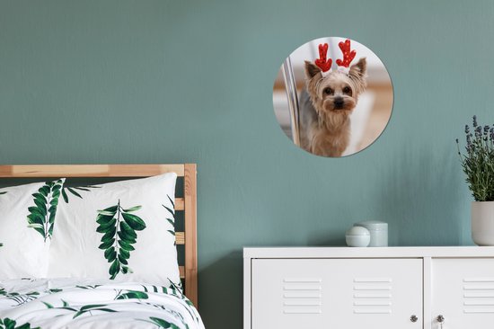 WallCircle - Wandcirkel - Muurcirkel - Yorkshire met een kerst accessoire - Aluminium - Dibond - 30x30 cm - Binnen en Buiten