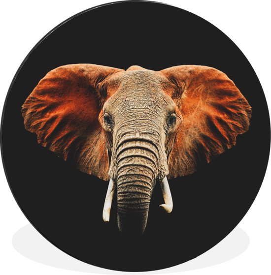 Cercle mural - Aluminium - Éléphant - Animaux - Couleurs - ⌀ 90 cm