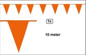 Vlaggenlijn oranje 10 meter - Vlaglijn Oranje feest festival EK WK holland koningsdag thema feest voetbal hockey sport
