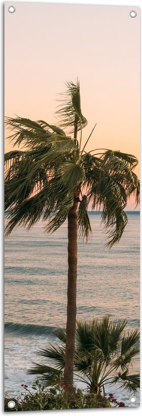 WallClassics - Tuinposter – Hoge Palmbomen bij Zee - 40x120 cm Foto op Tuinposter  (wanddecoratie voor buiten en binnen)