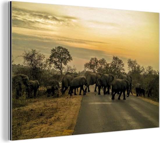 Wanddecoratie Metaal - Aluminium Schilderij Industrieel - Olifanten die de weg kruisen in het Nationale Park van Kruger Zuid-Afrika - 90x60 cm - Dibond - Foto op aluminium - Industriële muurdecoratie - Voor de woonkamer/slaapkamer