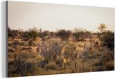 Wanddecoratie Metaal - Aluminium Schilderij Industrieel - Landschap van het Krugerpark in Zuid-Afrika - 80x40 cm - Dibond - Foto op aluminium - Industriële muurdecoratie - Voor de woonkamer/slaapkamer