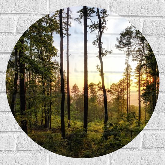 WallClassics - Muursticker Cercle - Coucher de soleil dans les Arbres - 60x60 cm Photo sur Muursticker