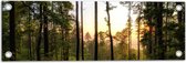 WallClassics - Tuinposter – Ondergaande Zon bij Bomen - 60x20 cm Foto op Tuinposter  (wanddecoratie voor buiten en binnen)