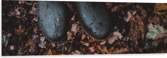 WallClassics - Dibond - Bottes de pluie en feuilles d'automne - 150x50 cm Photo sur Aluminium (Décoration murale murale en métal)