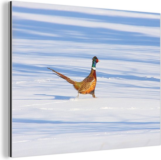 Wanddecoratie fazant loopt door de sneeuw 160x120 cm