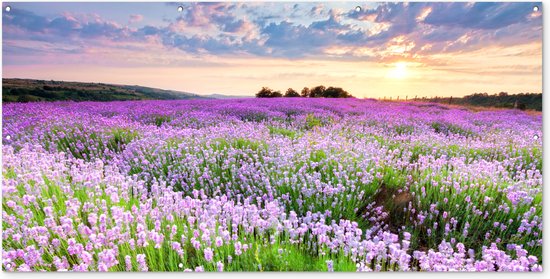 Tuinposter bloemen - Tuindecoratie lavendel paars - 200x100 cm - Tuinschilderij voor buiten - Tuindoek zonsondergang - Wanddecoratie tuin - Schuttingdoek - Balkon decoratie - Muurdecoratie natuur landschap - Buitenposter schutting