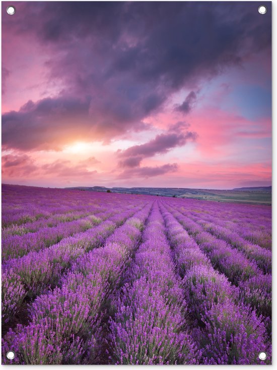 Tuinschilderij Lavendel - Paars - Wolken - Bloemen - 60x80 cm - Tuinposter - Tuindoek - Buitenposter