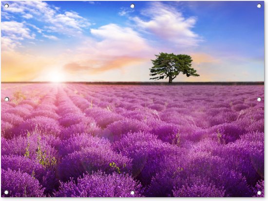 Lavendel - Boom - Zonsondergang - Tuindoek
