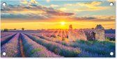 Tuinposter lavendel - Bloemen - Paars - Natuur - Avond - Zon - Tuindecoratie - Tuinschilderij voor buiten - Tuin - Tuindoek - 60x30 cm - Schuttingdoek - Schutting decoratie - Schuttingposter