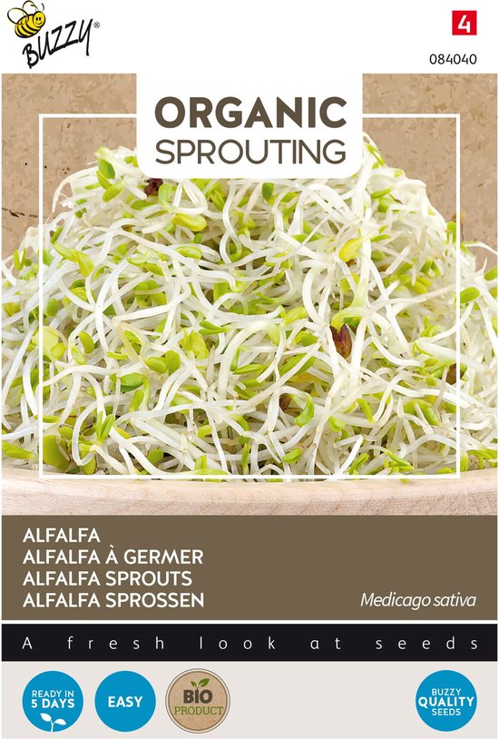 Buzzy® Organic Sprouting Alfalfa (BIO) - Superfood microgreens rijk aan voedingsstoffen