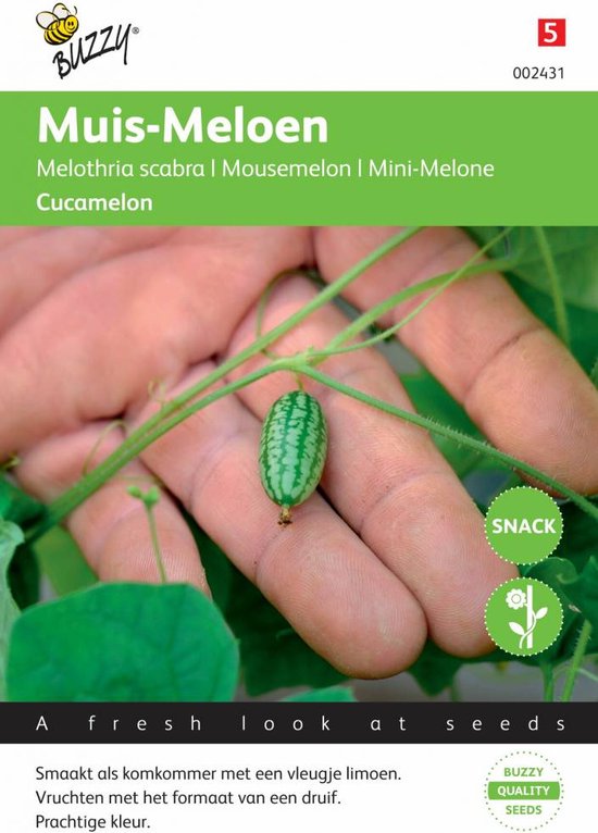 Buzzy zaden - Cucamelons muismeloen 20 zaden - Buzzy Seeds