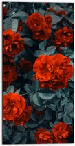 WallClassics - Dibond - Rode Volle Bloemen in Donkergroene Struik - 50x100 cm Foto op Aluminium (Met Ophangsysteem)