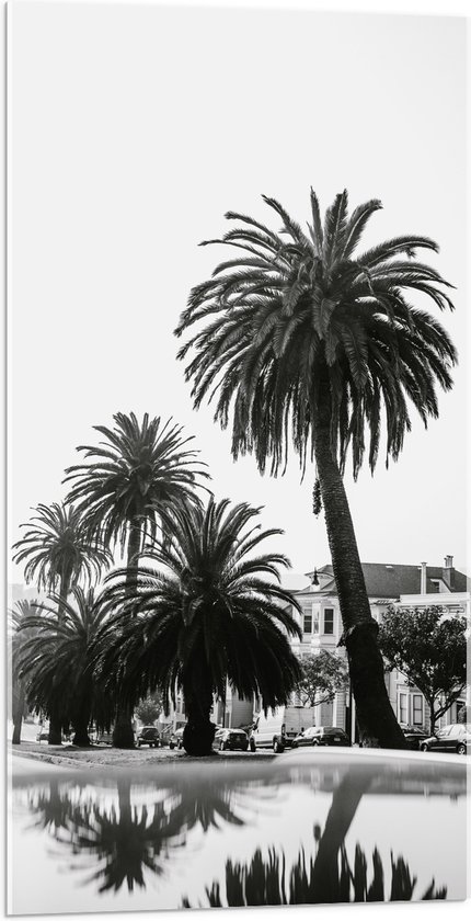 WallClassics - Acrylglas - Palmbomen in Amerikaanse Buurt (Zwart- wit) - 50x100 cm Foto op Acrylglas (Met Ophangsysteem)