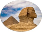 Dibond Ovaal - Sfinx met op de Achtergrond een Piramide in Egypte - 96x72 cm Foto op Ovaal (Met Ophangsysteem)