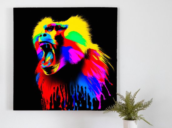 Colorful Baboon Burst kunst - 60x60 centimeter op Canvas | Foto op Canvas - wanddecoratie
