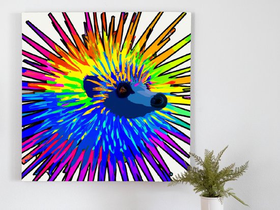 Rainbow echidna burst | Rainbow Echidna Burst | Kunst - 60x60 centimeter op Canvas | Foto op Canvas - wanddecoratie schilderij