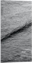 Acrylglas - Zee Golf in Zwart-Wit - 50x100 cm Foto op Acrylglas (Met Ophangsysteem)
