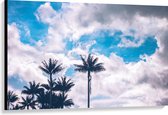 Canvas - Palmbomen onder de Bewolkte Lucht - 120x80 cm Foto op Canvas Schilderij (Wanddecoratie op Canvas)
