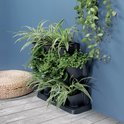 Donkergrijze verticale tuinpotten gevuld met groene planten, met een klimplant die naar beneden hangt.