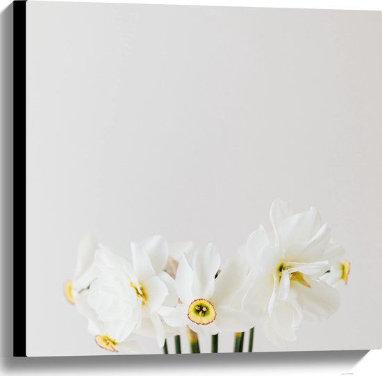 Canvas - Zevental Witte Bloemetjes tegen Witte Achtergrond - 60x60 cm Foto op Canvas Schilderij (Wanddecoratie op Canvas)