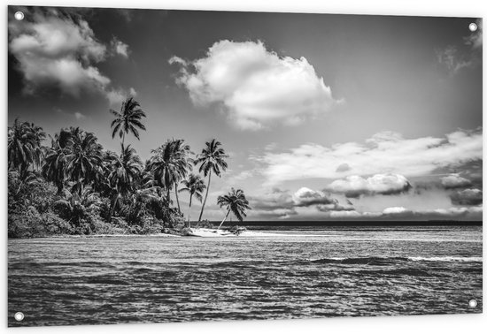 Poster de jardin – Rangée de palmiers le long d'une mer calme (noir et blanc) - 120x80 cm Photo sur poster de jardin (décoration murale pour l'extérieur et l'intérieur)