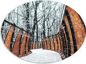 WallClassics - Panneau de mousse PVC ovale - Clôture dans une forêt enneigée - 96x72 cm Photo sur ovale (avec système de suspension)