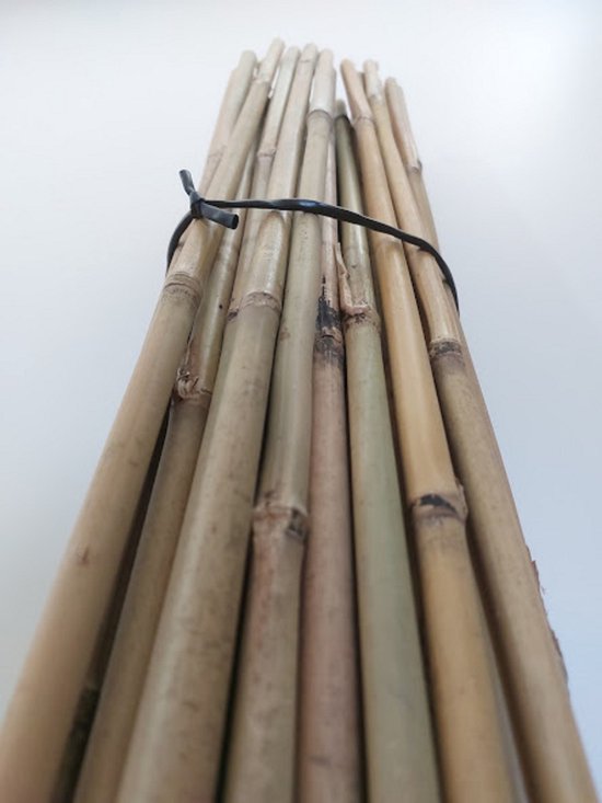 Bamboe stok | Tonkinstok | Bonenstaken | Klim- en Geleide Artikel Bamboestok |... |