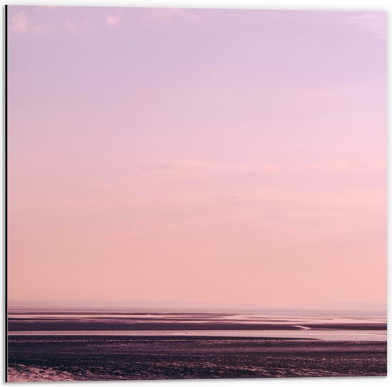 Dibond - Zachtroze Lucht boven het Strand - 50x50 cm Foto op Aluminium (Met Ophangsysteem)