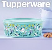 Boîte à biscuits Tupperware nouvelle collection