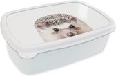 Broodtrommel Wit - Lunchbox - Brooddoos - Egel - Dieren - Natuur - Wit - 18x12x6 cm - Volwassenen