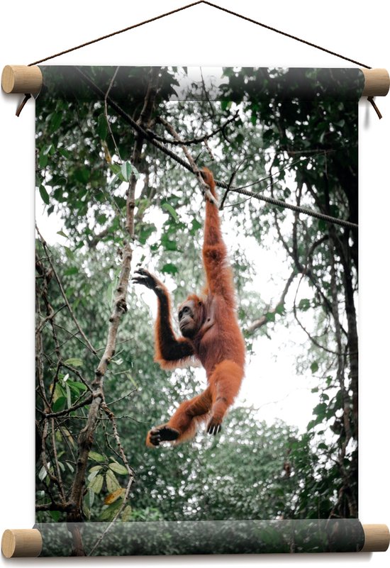 Textielposter - Orang Oetan Aap Slingerend aan Touw in de Jungle - 30x40 cm Foto op Textiel