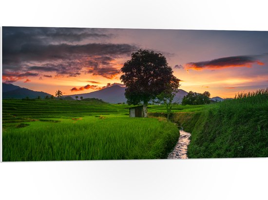 PVC Schuimplaat- Sloot door Natuurgebied van Indonesische Rijstvelden - 100x50 cm Foto op PVC Schuimplaat