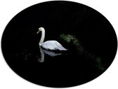 Dibond Ovaal - Wegzwemmende Gans op Sloot bij Groene Planten - 80x60 cm Foto op Ovaal (Met Ophangsysteem)