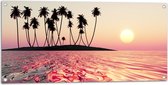 Tuinposter – Silhouet van Palmbomen op Onbewoond Eiland in de Oceaan bij Zonsondergang - 100x50 cm Foto op Tuinposter (wanddecoratie voor buiten en binnen)