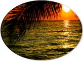 Dibond Ovaal - Silhouet van Palmbladeren hangend boven de Zee tijdens Zonsondergang - 40x30 cm Foto op Ovaal (Met Ophangsysteem)