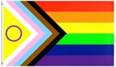 Progress Pride 150x90CM - Intersex - Voorwaarts - Regenboog Vlag - LGBT Rainbow Flag - Regenboog - Polyester