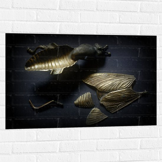 Muursticker - Kapotte Goude Vlieg op Zwarte Achtergornd - 90x60 cm Foto op Muursticker