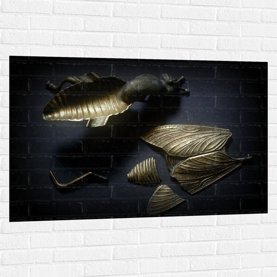 Muursticker - Kapotte Goude Vlieg op Zwarte Achtergornd - 120x80 cm Foto op Muursticker