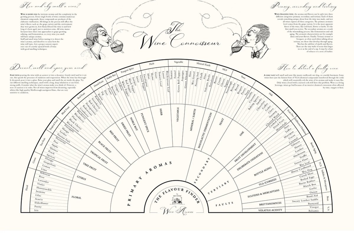 Poster - 50 x 70 cm - zwart wit - wijn - aroma's - flavour finder
