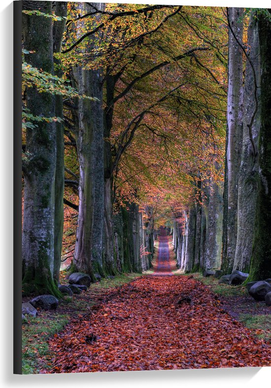 WallClassics - Toile - Chemin dans la forêt en automne - 60x90 cm Photo sur toile (Décoration murale sur toile)
