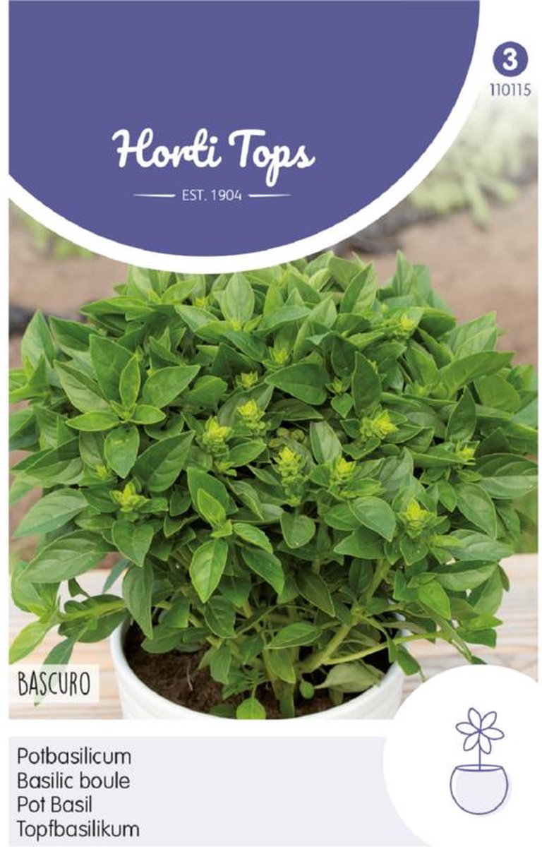 Hortitops Zaden - Pot-Basilicum Bascuro - Donkergroene