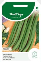 Hortitops Seeds - Miracle des haricots chinois